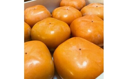 AB7048_【先行予約】【和歌山特産品】柿の女王 特大サイズのたねなし柿 クイーンパーシモン 4L~6Lサイズ 約4kg入り