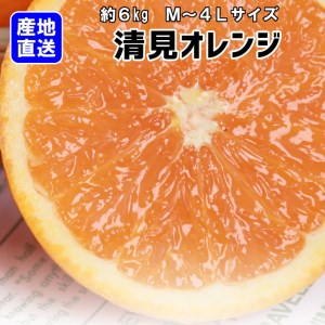 【産地直送】清見オレンジ 約7kg(S~4L)【紀州グルメ市場】◆◆