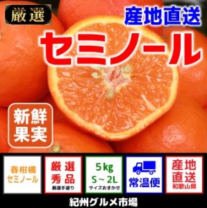 【産地直送】セミノール 約5kg(S~3L)【紀州グルメ市場】◆◆