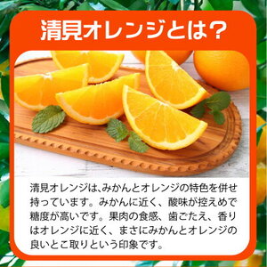 G7066_【2026年先行予約】とにかくジューシー 清見 オレンジ 5kg