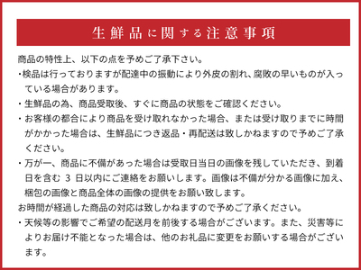 ZE6075n_【2026年先行予約】有田の八朔 (はっさく) 10kg (Lサイズ)まごころ手選別