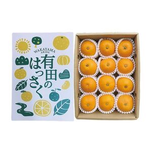 ZE6079n_【2026年先行予約】有田の八朔 (はっさく) 【化粧箱 】(Lサイズ) 12個入り まごころ手選別