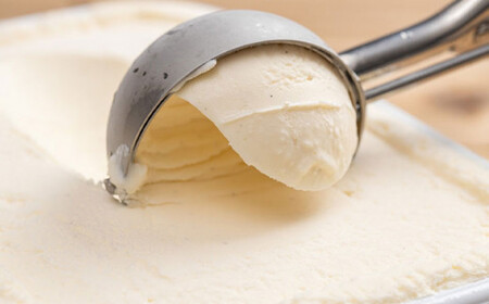 V6241_プレミアムジェラート／ピスタチオ 12個セット／ジェラート シャーベット アイスクリーム 100ml ／ゆあさジェラートラボラトリー 紀伊国屋文左衛門本舗 SenZanAn Premium Ice Cream