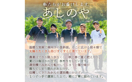 ZE6152n_【2026年先行予約】有田の八朔 (はっさく) 10kg(M~Lサイズ混合)まごころ手選別