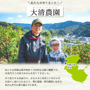 BG6105n_濃厚完熟! 有田みかん 10kg (2S~Lサイズ混合 家庭用) 【送料無料】