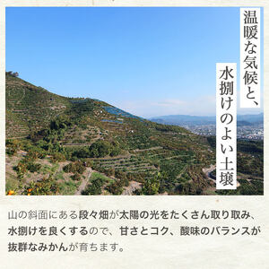 BG6105n_濃厚完熟! 有田みかん 10kg (2S~Lサイズ混合 家庭用) 【送料無料】