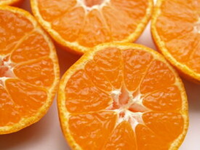 ZT6203n_こだわりの 有田みかん 赤秀 5kg 藤秀園