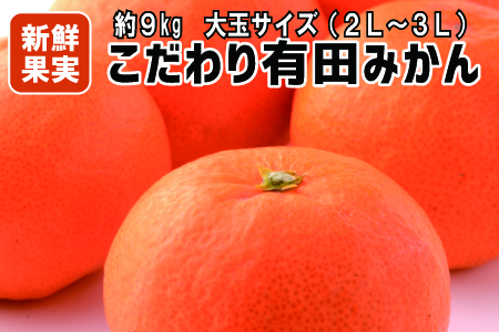 【こだわり】有田みかん 9kg(大玉:2L・3Lサイズ)【紀州グルメ市場】