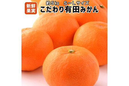 【こだわり】有田みかん 5kg(S~Lサイズ)【紀州グルメ市場】