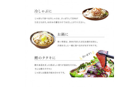 V7256_じゃばらポン酢 じゃぽん 360ml×5本セット 邪払 ジャバラ じゃばら ぽん酢 じゃぽん 北山村 / 紀伊国屋文左衛門本舗