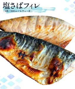 G7010_迷ったらコレ!!魚鶴商店の天然紅サケ 1kg & 塩さば 6枚セット