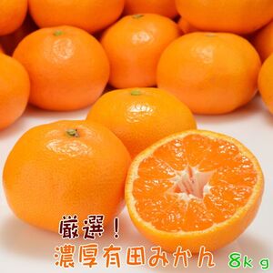 AB6180_【先行予約】厳選! 濃厚 有田みかん(サイズ混合) 8kg