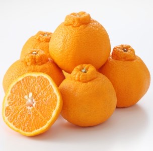 和歌山県有田産 不知火(しらぬい) 約5kg 15~20玉【エバグリーン廣甚】◆◆