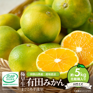 【まごころ手選別】和歌山の有田みかん (極早生) 化粧箱入り Mサイズ 約5㎏【あしのや】◆◆