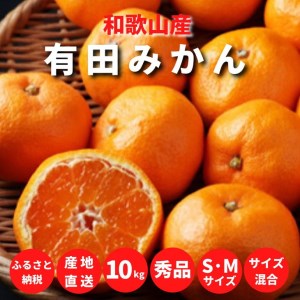 有田みかん 10kg S・Mサイズ【あしのや】◆◆