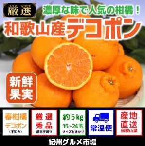 和歌山のデコポン約5kg〔15玉~24玉〕【紀州グルメ市場】◆◆