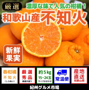 和歌山の不知火 約4kg(12~20玉)【紀州グルメ市場】◆◆