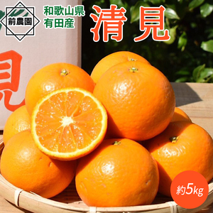 BL6156n_【産地直送】和歌山県産 清見 5kg (S～3Lサイズ混合)【清見 みかん オレンジ タンゴール きよみ 柑橘 和歌山 有田】