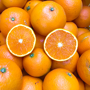 BL6158n_【先行予約】 家庭用 清見 約 5kg S～3L サイズ混合 訳あり ほどよい 酸味 甘味 マッチ 食べやすい 産地直送 国産 みかん 柑橘 果物 フルーツ 果実 食品 食べ物 おやつ デザート お取り寄せ お取り寄せフルーツ 有田地方 和歌山県 湯浅町 送料無料