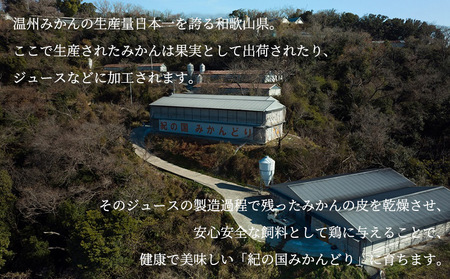 DO6004n_紀の国みかんどり 特選 唐揚げ【からあげ 鶏から 冷蔵 チルド 惣菜 弁当 おかず】