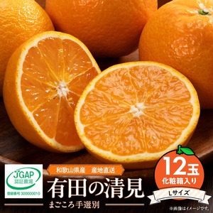 ZE6118n_和歌山県産 有田の 清見 化粧箱入り Lサイズ 12個入り（まごころ手選別） 6,480円