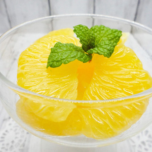 U6231n_【2026年先行予約】木成り八朔 秀品 約10kg Lサイズ 和歌山県有田産