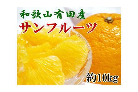 和歌山有田産サンフルーツ10kg(M~3Lサイズおまかせ)※2020年3月下旬~4月下旬順次発送予定【和歌山厳選館】◆◆
