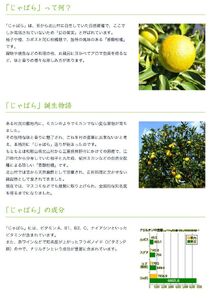 V7269_じゃばらパウダー100g×2袋 邪払 ジャバラ じゃばら 果皮 粉末 北山村 / 紀伊国屋文左衛門本舗