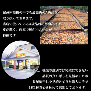 SF1014_特選紀州南高梅「白梅の里」昔しそ　300ｇ