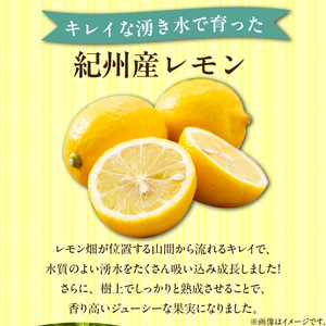 EA6009n_和歌山県産 完熟 レモン 5kg 皮まで使用可能(栽培期間中農薬不使用)