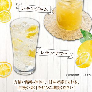 EA6013_和歌山県産 完熟 レモン 10kg 皮まで使用可能(栽培期間中農薬不使用)