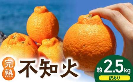 EA6020n_【訳あり・ご家庭用】 和歌山県産 完熟 不知火 2.5kg 甘酸っぱい味わいと芳醇な風味がたまらない高級柑橘!