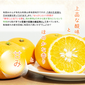 DI6032n_和歌山県有田産 八朔 3kg 秀品 (M～2Lサイズおまかせ)