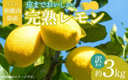 EA6022n_【訳あり・ご家庭用】完熟 レモン 3kg 皮まで使用可能（栽培期間中農薬不使用）