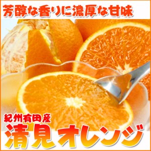 とにかくジューシー清見オレンジ 5kg【魚鶴商店】