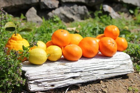 ZS6009n_主井農園 季節のこだわり みのりセット 5kg