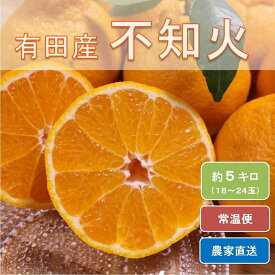 和歌山県有田産 不知火 ひとつひとつ手選別で厳選!生産者から直送※2020年2月中旬~3月中旬頃までに順次発送予定【ひだまりみかん家】◆◆