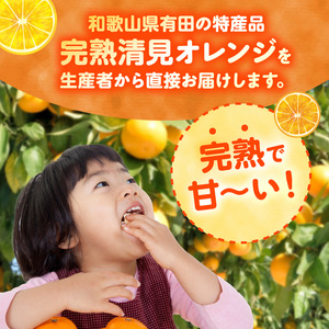 ZN6001n_和歌山県有田産 完熟 清見オレンジ 5kg ひとつひとつ丁寧に厳選！生産者から直送【清見 みかん オレンジ タンゴール きよみ 柑橘 和歌山 有田】