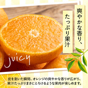 ZN6001n_和歌山県有田産 完熟 清見オレンジ 5kg ひとつひとつ丁寧に厳選！生産者から直送【清見 みかん オレンジ タンゴール きよみ 柑橘 和歌山 有田】