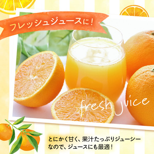 ZN6001n_和歌山県有田産 完熟 清見オレンジ 5kg ひとつひとつ丁寧に厳選！生産者から直送【清見 みかん オレンジ タンゴール きよみ 柑橘 和歌山 有田】