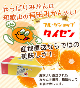 ZJ6078_ご家庭用 和歌山 有田みかん 約5kg (S、Mサイズ)【湯浅町】