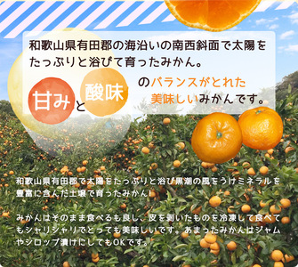 ZJ6078_ご家庭用 和歌山 有田みかん 約5kg (S、Mサイズ)【湯浅町】