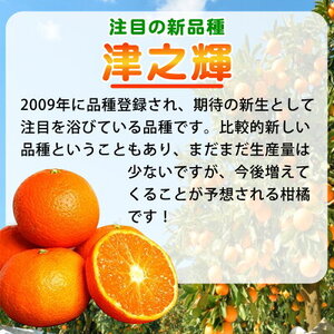 G7057_【2027年先行予約】和歌山産 津之輝 (つのかがやき) 5kg