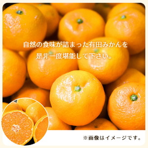 BT6009_和歌山県有田産 みかん 10kg×2箱 2L~3Sサイズ(おまかせ)【訳あり・家庭用】