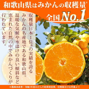 AT6310_ご家庭用 有田みかん 約10kg (M、Lサイズ)【湯浅町】