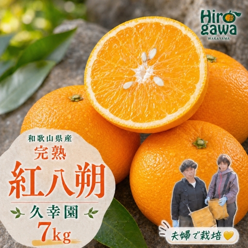 完熟 紅八朔 7kg 久幸園 / はっさく 甘い 和歌山 柑橘 ※3月中旬～4月中旬頃に順次発送予定 【hsk022-beni-7】 6,300円