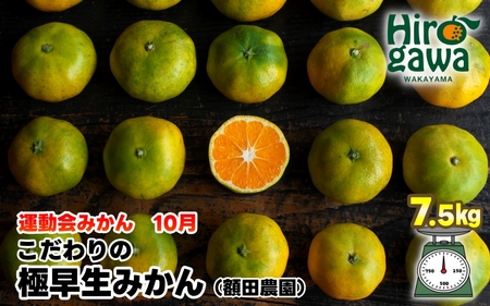 【先行予約】極早生 みかん 家庭用 7.5kg / 極早生みかん 温州みかん 甘い 家庭用 和歌山 柑橘 ※2026年10月上旬～11月上旬順次発送 ※北海道・沖縄・離島への配送不可 【nuk003-r-7d5D】