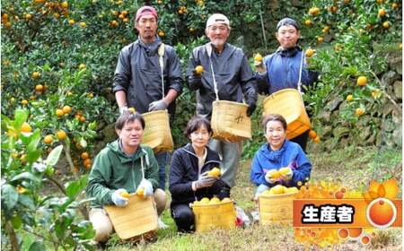 家庭用 完熟 有田みかん 2kg+60g（痛み補償分）【 わけあり・訳あり 】【 光センサー選果 】＜11月中旬～翌年1月下旬ごろに順次発送予定＞ ※北海道・沖縄・離島への配送不可 / 和歌山 蜜柑 ミカン フルーツ 果物 旬 柑橘 秋【ikd004-kan-c-2-PR】