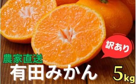 農家直送 有田 みかん 訳あり 5kg 光センサー 選別 / 温州みかん 有田みかん 甘い 家庭用 和歌山 柑橘 ※11月中旬～1月中旬に順次発送 ※北海道・沖縄・離島への配送不可 【nuk004-noka-c5B】