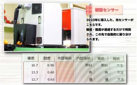 不知火（デコポン）7kg （サイズ混合） ※2月中旬～4月中旬に順次発送予定 ※北海道・沖縄・離島への配送不可 / しらぬい 柑橘類 果物 和歌山 有田 広川【nuk010-c-7A】